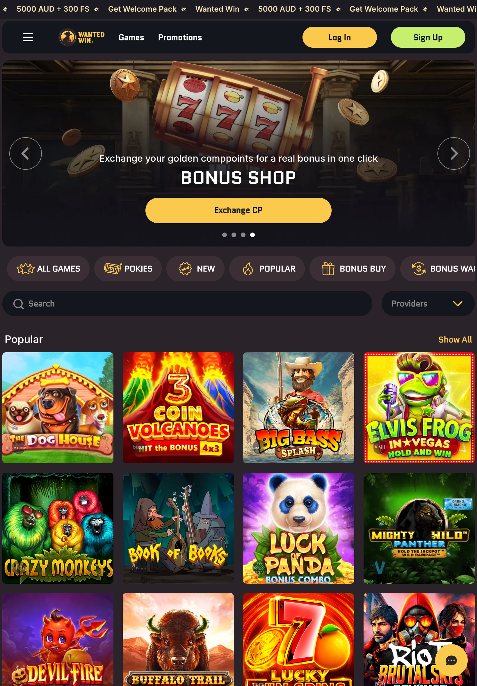 Website Design